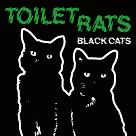 black cats